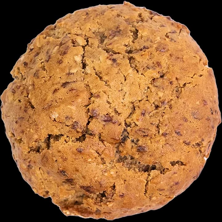 Oatmeal Raisin